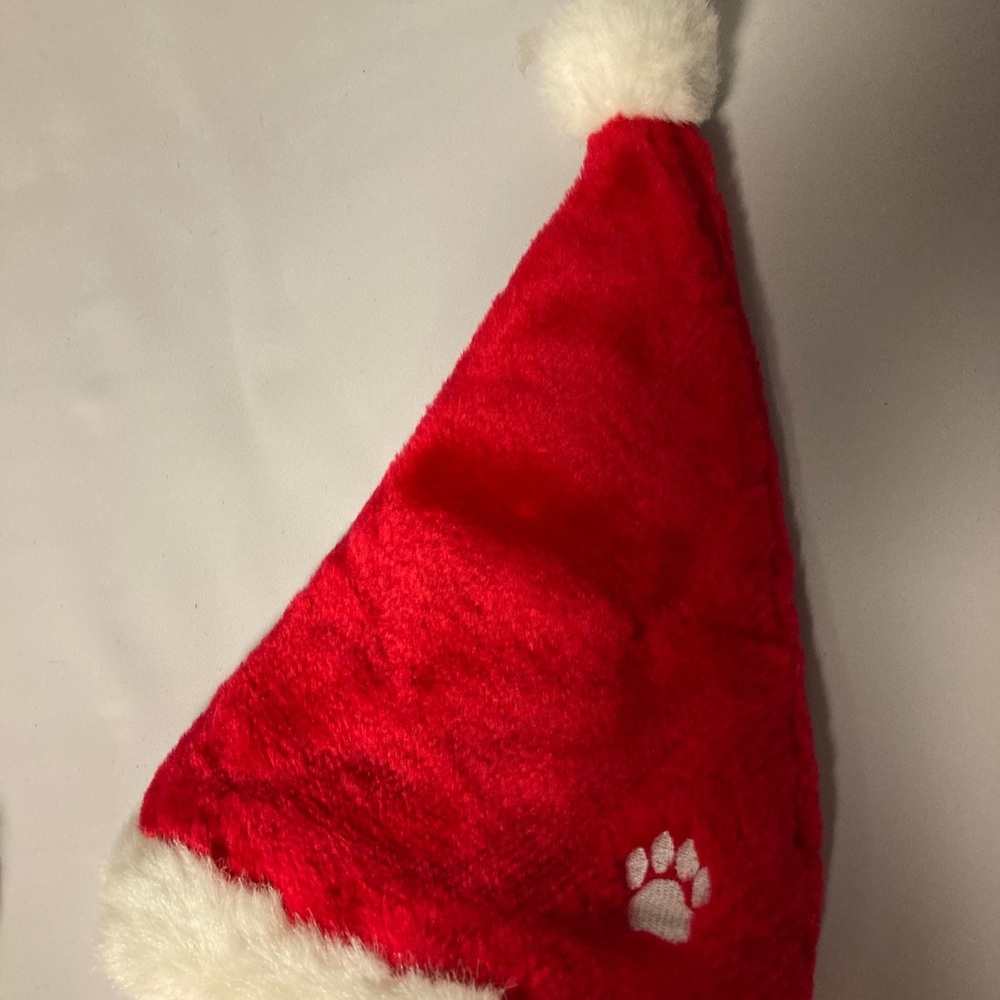 Santa Dog Red Hat